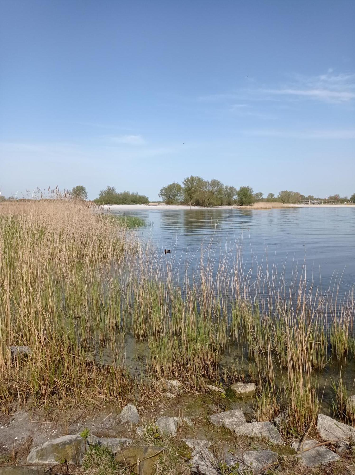 Appartement Ijsselmeer Makkum Strand Екстериор снимка